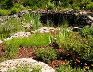 baruch-12