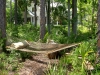 Cole_hammock in native plant garden