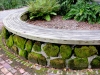 DSCN7282