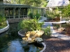 beech _ lagoon with stone waterfall and gravel walkway.jpg