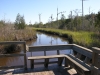 Cay Creek Boardwalk and Observation Deck