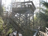 Cay Creek Observation Tower