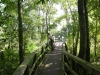 Cay Creek Boardwalk