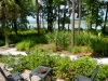 Cole_ native plant garden from brick porch