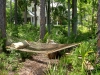 Cole_hammock in native plant garden