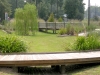 DSCN4367