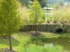 DSCN4371