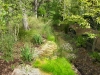 Gregory _ swale with native plants.jpg