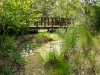 gregory _ rock swale with native grasses and custom wooden bridge.jpg