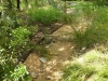 gregory - gravel swale with check dam and native grasses.jpg