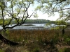 Hatfield - brays island preserved marsh view