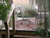 IMG_9972-fx
