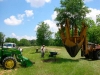 Planting-live-oak-allee