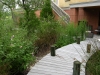 Jager_landscape architecture_kiawah island_board walk through native grasses and plants