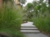 Jager_landscape architecture_kiawah island_boardwalk through native grasses