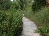 Jager_landscape architecture_kiawah island_boardwalk through native plant garden (2)