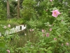 Jager_landscape architecture_kiawah island_boardwalk through native plant garden