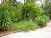 Jager_landscape architecture_kiawah island_custom stone curb with native grasses and plants