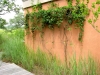 Jager_landscape architecture_kiawah island_custom wire vine trellis