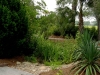 Jager_landscape architecture_kiawah island_rock swale with native plants and custom hardscape