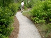 Jager_landscape architecture_kiawah island_shell sand path with steel border through native plant garden