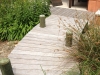 Jager_landscape architecture_kiawah island_wood pedestrian bridge through native plant garden