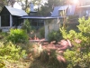 Lindsay _ backlit house and native grasses.jpg