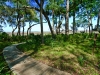 Lindsay _ boardwalk to marsh.jpg