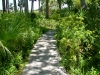 Lindsay_ boardwalk through native plants.jpg