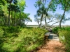 Lindsay_ wooden bench on deck overlooking marsh.jpg