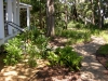 Livingston_ gravel path through native plants and grasses