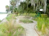 living shoreline_little saint simons island Georgia_landscape architecture_living shoreline_gravel path through native grass garden with seating node along oyster shell shoreline.jpg