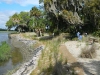 living shoreline_little saint simons island Georgia_landscape architecture_living shoreline_installation of native grasses along living shoreline of oyster shells.jpg