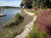 living shoreline_little saint simons island Georgia_landscape architecture_living shoreline_oyster shoreline with native grasses.jpg