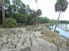 living shoreline_little saint simons island Georgia_landscape architecture_living shoreline_plant positioning of native grasses along living shoreline.jpg