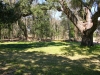 Mepkin Abbey - live oak exising site