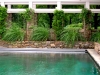 paris mountain_greenville_south carolina_pool with arbor and stone retaining wall_native grasses and vines