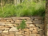 paris mountain_greenville_south carolina_stone retaining wall with native grasses and prostrate rosemarry