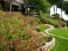 paris mountain_greenville_south carolina_stone terrace garden with sea oats and native grasses