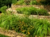 paris mountain_greenville_south carolina_terrace garden plantbeds with native grasses and native plants