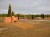 Willingham Plantation_Allendale South Carolina_landscape architecture_master plan_curved brick wall with Italian cypress.jpg