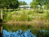 Willingham Plantation_Allendale South Carolina_landscape architecture_master plan_farm house from pond.jpg